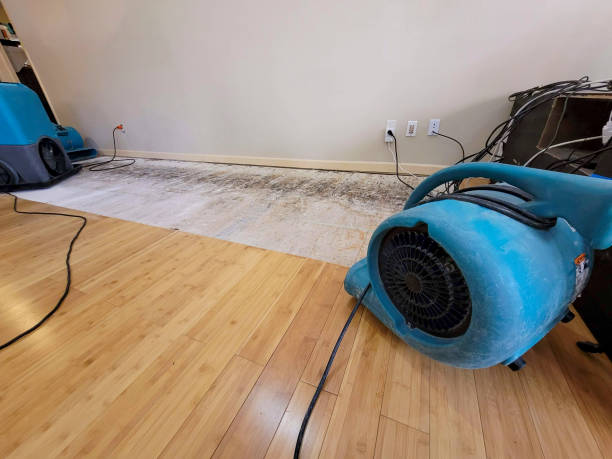 Professional Basement Flood Cleanup technician working in Quincy, MA